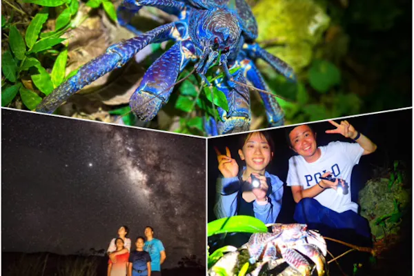 宮古島/夜】送迎可能！みずがめ座流星群観測チャンス！星空×ジャングル