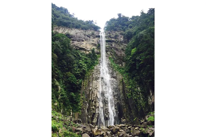 和歌山 那智勝浦 ガイドツアー ガイドと歩く世界遺産の地 熊野古道大門坂と那智山周遊プラン アソビュー