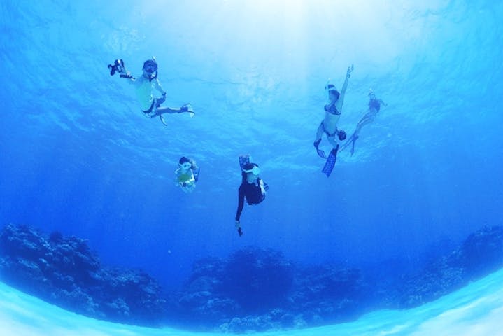 FAUSTO石垣島（ファウストイシガキジマ）