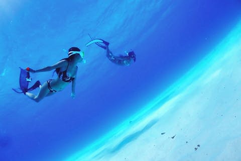 【沖縄・石垣島・素潜り】より深い碧の世界へ出かけよう！スキンダイビング1日ツアー