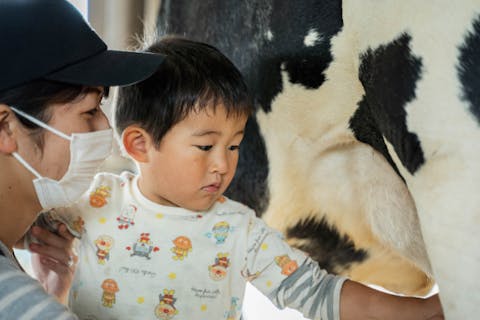 【宮崎・新富町・料理教室】10～5月限定＜1日1組＞酪農フルコースで食育体験～乳しぼり・ミルクやり・バター作り～