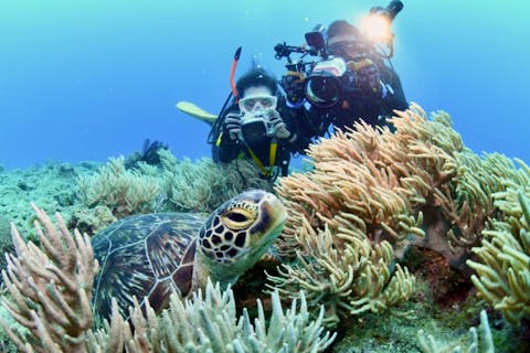 【沖縄・ファンダイビング】読谷村エリア｜1組貸切【初心者向けポイント】2ボートファンダイビング｜器材レンタル無料