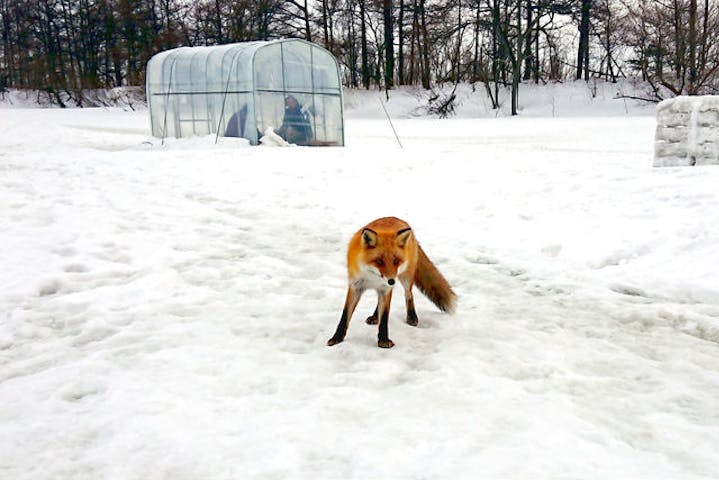 北海道 札幌 ワカサギ釣り 札幌市内で楽しむ ワカサギ釣り 午後貸切コース アソビュー