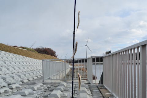 【長沼町発着】瀾山ホテル～マオイの丘道の駅発着・南空知の冬風景に親しむ・氷上ワカサギ釣り体験と雪遊び