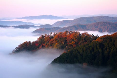【岡山・高梁・観光タクシー】雲海に浮かぶ備中松山城！雲海展望台までの乗合タクシー