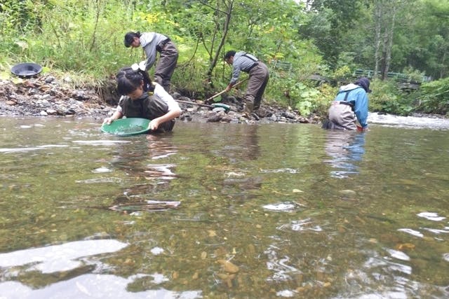 中頓別町(枝幸郡) アドベンチャー・冒険の遊び体験|日本最大の体験・遊び予約サイト アソビュー!
