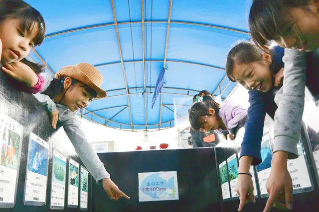 沖縄 名護 グラスボート 服を着たままでok グラスボートで気軽に海中散歩体験 アソビュー