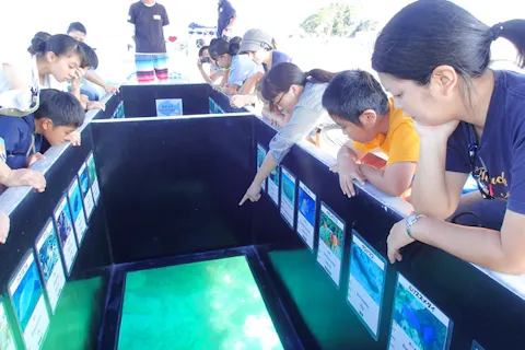 沖縄 おすすめグラスボートツアー 比較 予約 アソビュー