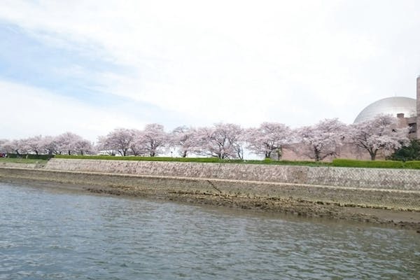 広島県 広島市 遊覧船 広島市内を水上散歩で巡ろう のんびりリバークルーズ アソビュー 広島県 広島市 遊覧船 広島市内を水上散歩で巡ろう のんびりリバークルーズ アソビュー