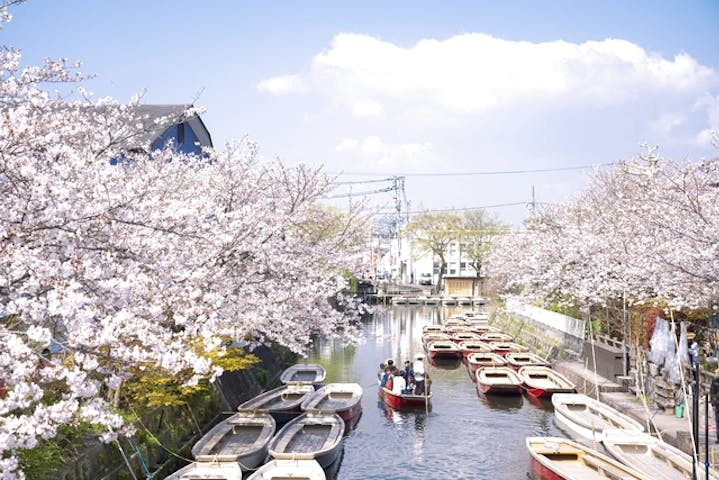 福岡 柳川 川下り 柳川市の歴史的財産 掘割を船で巡る 柳川川下り 乗合船 アソビュー