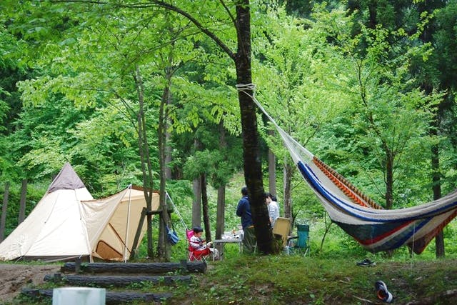 鳥取県 鳥取市 釣り堀 生きた魚を川で捕まえ 串焼きで味わおう 魚のつかみどり アソビュー