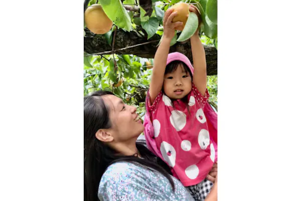 新潟 燕 梨狩り 2時間たっぷり食べ放題 旬の味をじっくり堪能できる梨狩り体験 アソビュー