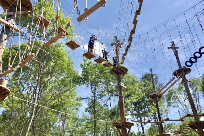 Owl Adventure アウルアドベンチャー ネット予約ならアソビュー