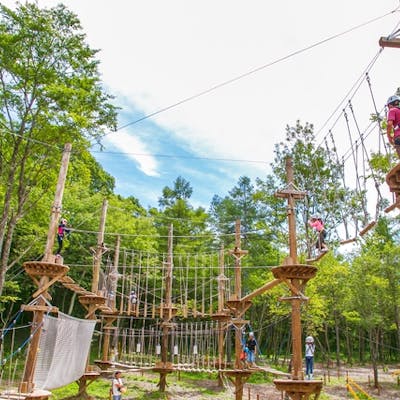 長野 軽井沢 アスレチック 地上2mと4mのコースに挑戦 空中アスレチック ローコース アソビュー 限定 アソビュー