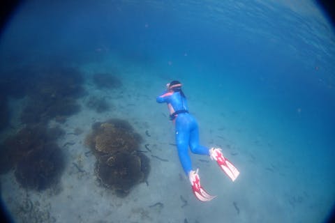 【熊本・天草・スキンダイビング】ボートで行くスキンダイビング　天草最南端うしぶか国定海中公園