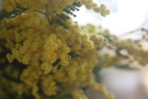 【東京・上板橋・手作りリース】はじめてのリースづくり体験（1個）