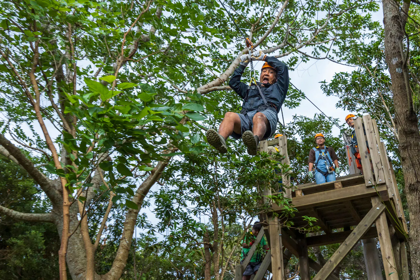 沖縄 やんばる ジップライン 空中を駆ける やんばるジップラインアドベンチャー アソビュー