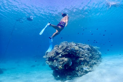 【沖縄・スキンダイビング・ゴリラチョップ・美ら海水族館近く】初心者におすすめ！完全貸切ツアー！ご家族・友達・カップルにおすすめ！写真・動画無料プレゼント　枚数制限なし！餌付け体験付き