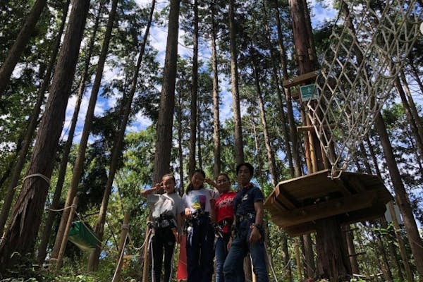 【奈良・王寺・アスレチック】6歳から体験できるディスカバリーコース｜アソビュー！