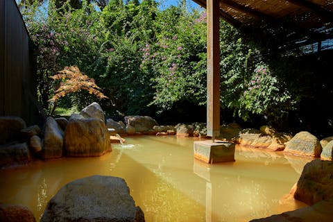九州の日帰り温泉 予約 アソビュー 個室 貸切 露天風呂など人気の温泉プラン