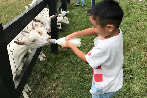 富良野 美瑛 トマム 牧場体験の遊び体験 アソビュー 休日の便利でお得な遊び予約サイト