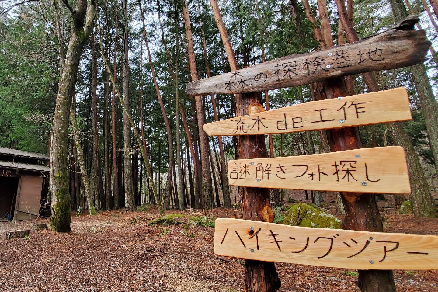 山梨 小淵沢 手作り雑貨 拾って作ってオリジナル工芸制作 流木工作体験 1個 アソビュー