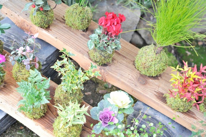 倉敷グリーンファーム