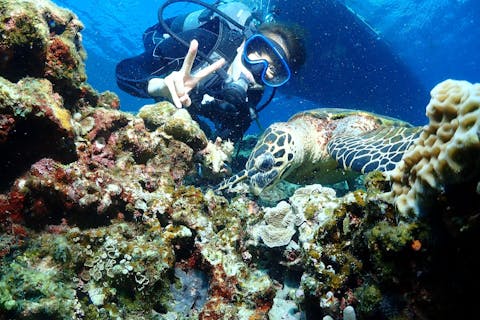 【沖縄・慶良間・那覇発】選べる午前・午後☆大満足の体験ダイビング2ダイブ・インストラクター貸切ツアー