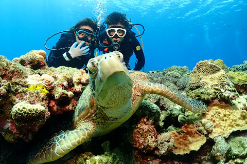 沖縄 慶良間 体験ダイビング 癒しの海でのんびり1日体験ダイビング 2ダイブ アソビュー