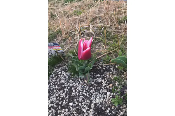 岡山 牛窓 クルージング ビーチツアー アソビュー