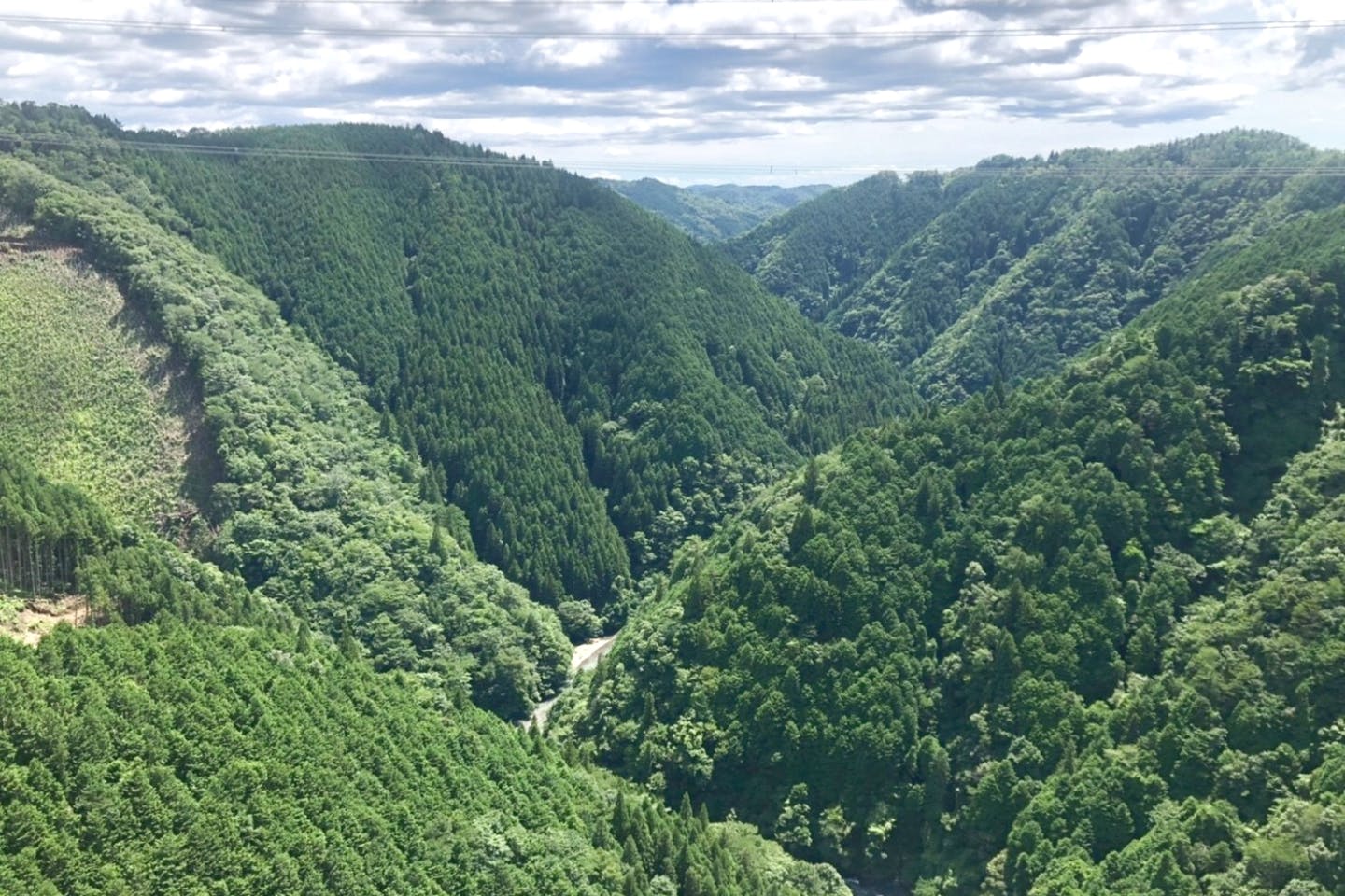 岐阜 新旅足橋 高さ日本一 高低差215mのブリッジバンジージャンプ 初めての方限定プラン アソビュー