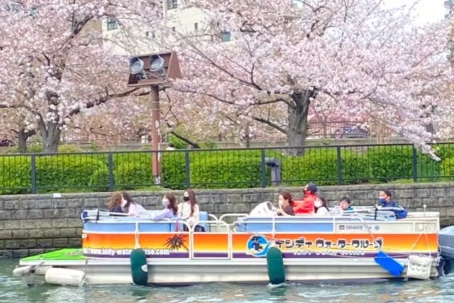 【大阪・クルージング】貸し切りの船で優雅にお花見！大川さくらクルーズ＜110分＞