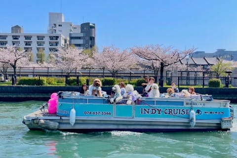 【大阪・クルージング】貸し切りの船で優雅にお花見！大川さくらクルーズ＜110分＞