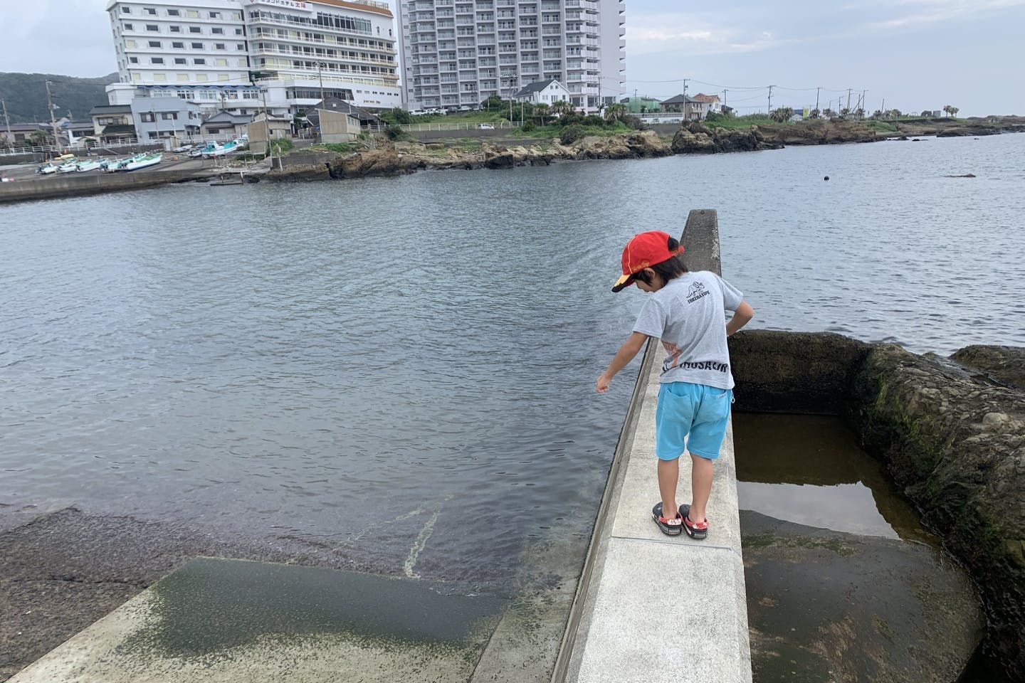 千葉 南房総 海釣り 気軽に本格磯釣り体験 竿 リール付きウキ釣りプラン アソビュー