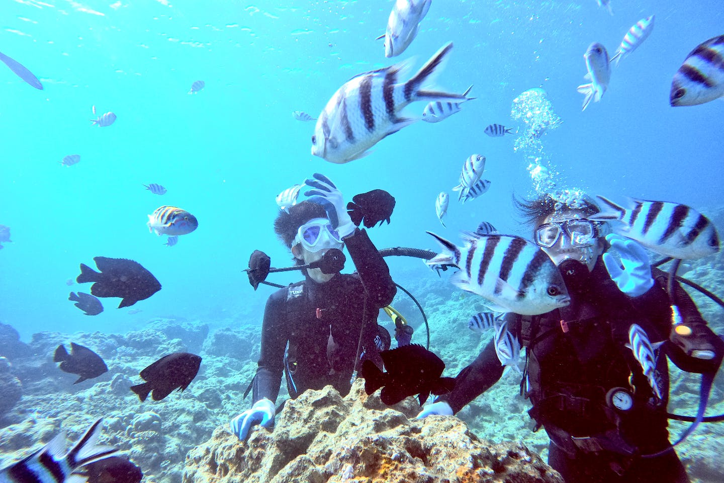 沖縄 北谷 体験ダイビング サンゴと魚たちの楽園へレッツゴー 体験ダイビング アソビュー