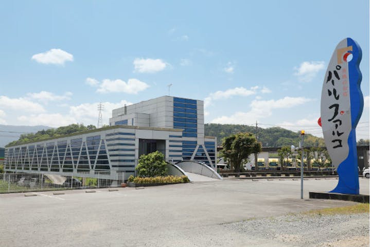 パールファルコ