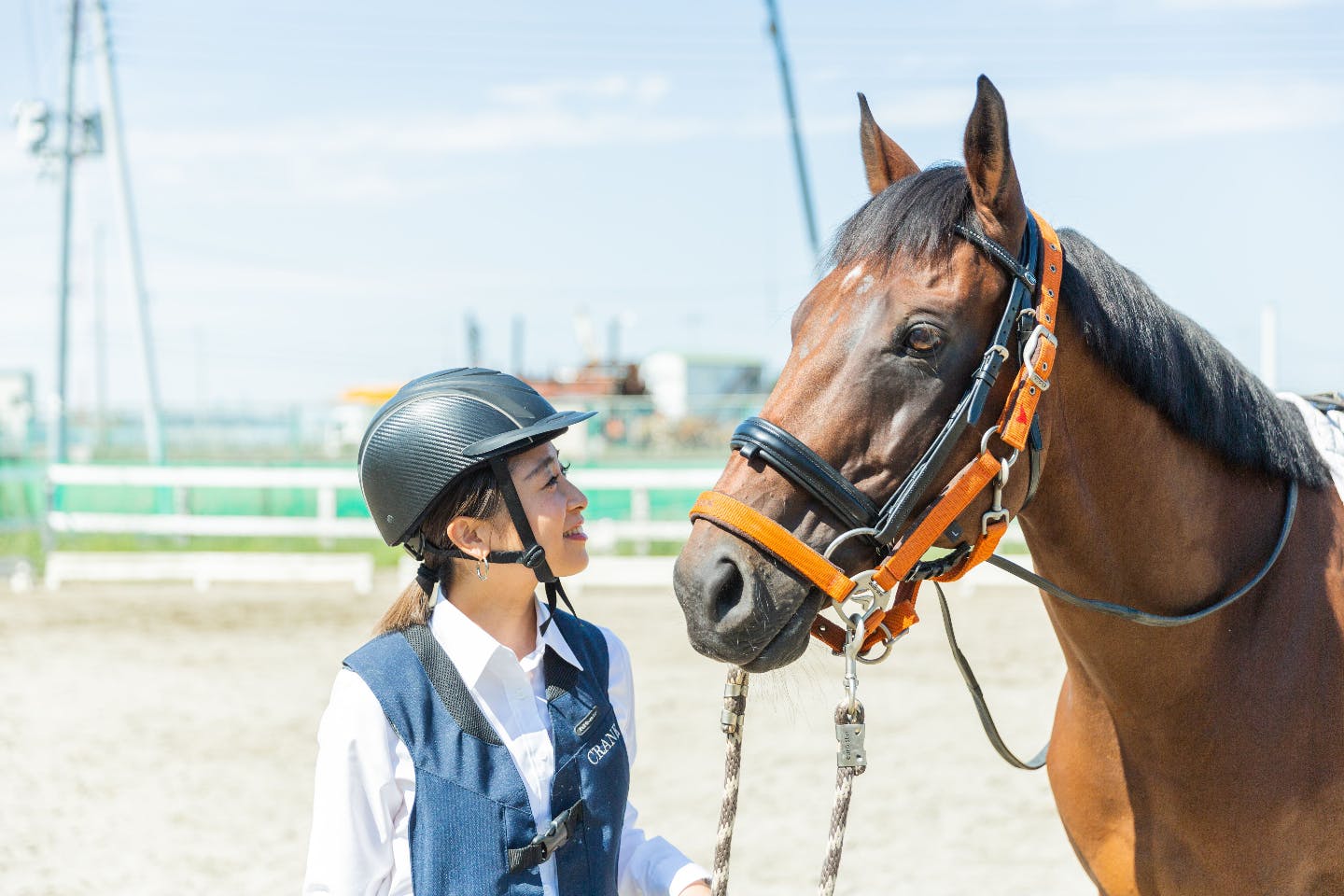 埼玉 南埼玉 乗馬 馬と触れ合い癒される 東武動物公園隣接の乗馬クラブで行う乗馬体験 アソビュー