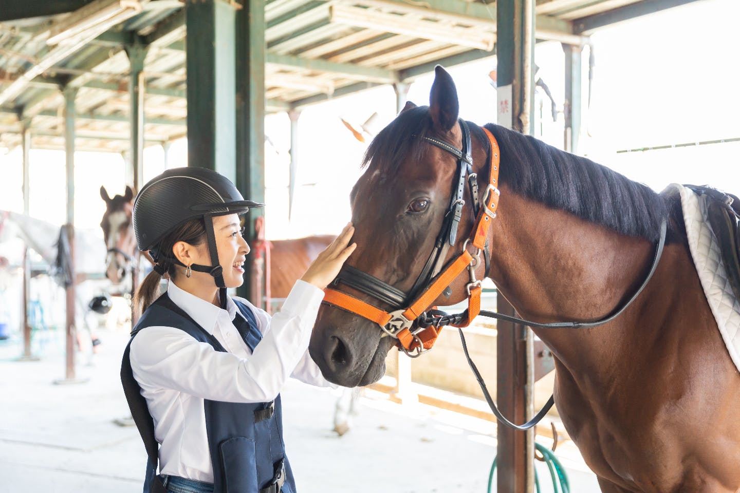 埼玉 南埼玉 乗馬 馬と触れ合い癒される 東武動物公園隣接の乗馬クラブで行う乗馬体験 アソビュー