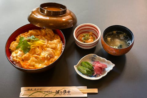 祭ステージ「This is Akita」＋お食事（比内地鶏の極上親子丼）＋温泉入浴