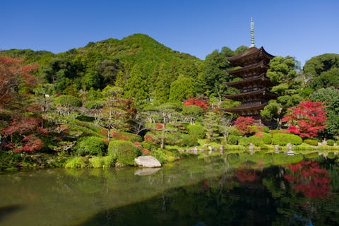 山口 山口市 観光タクシー 山口のおすすめ観光地をタクシーガイドと巡ろう ぶらり山口プラン アソビュー