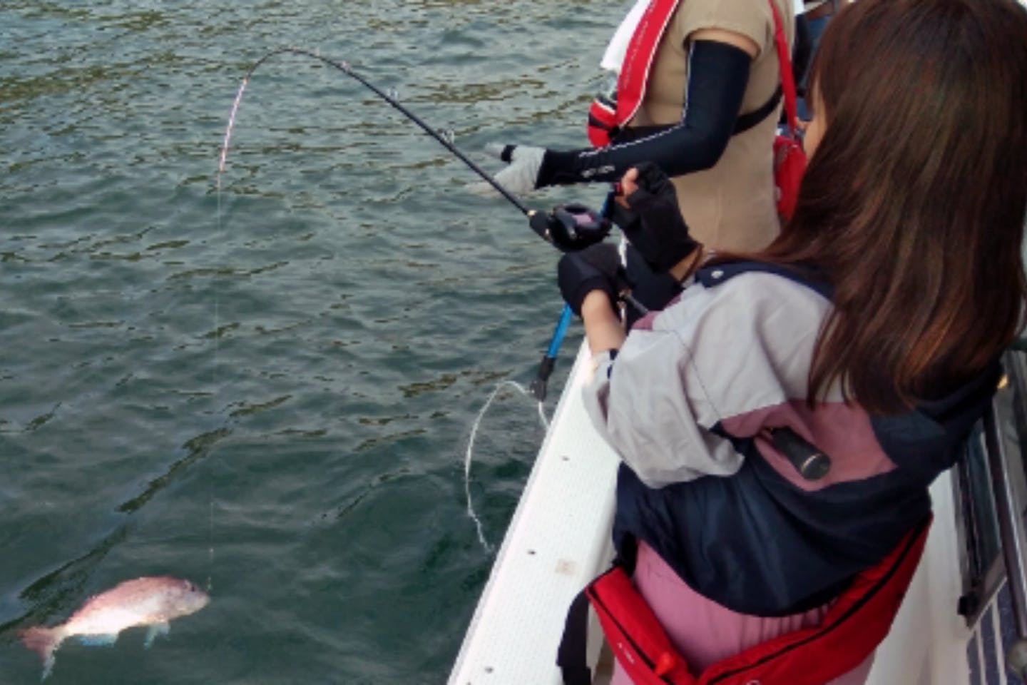 山口 周防大島 船釣り 手ぶらでok 旬の魚を釣る船釣り体験 アソビュー