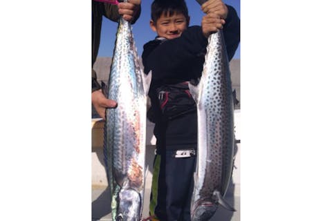 山口 周防大島 船釣り 宿泊付き 手ぶらでok 船釣り体験 旬の魚を釣って泊まれる 温泉入浴券付き アソビュー