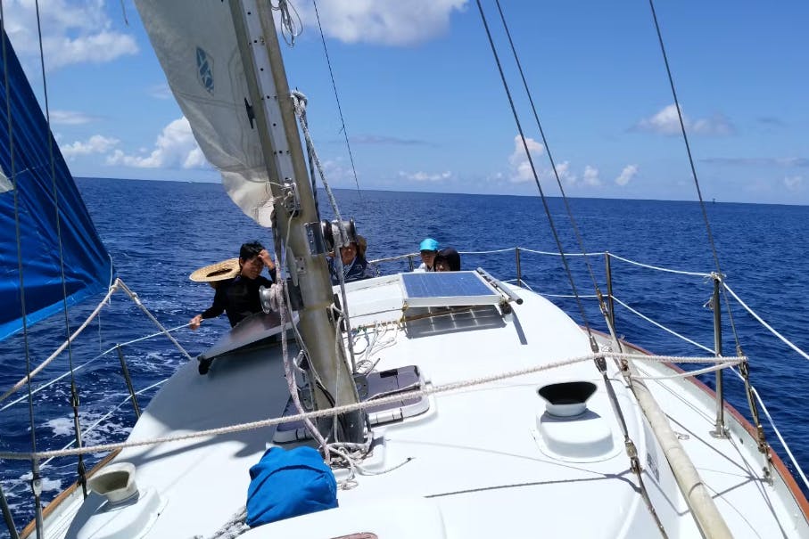 小笠原ボニネンシストラベル