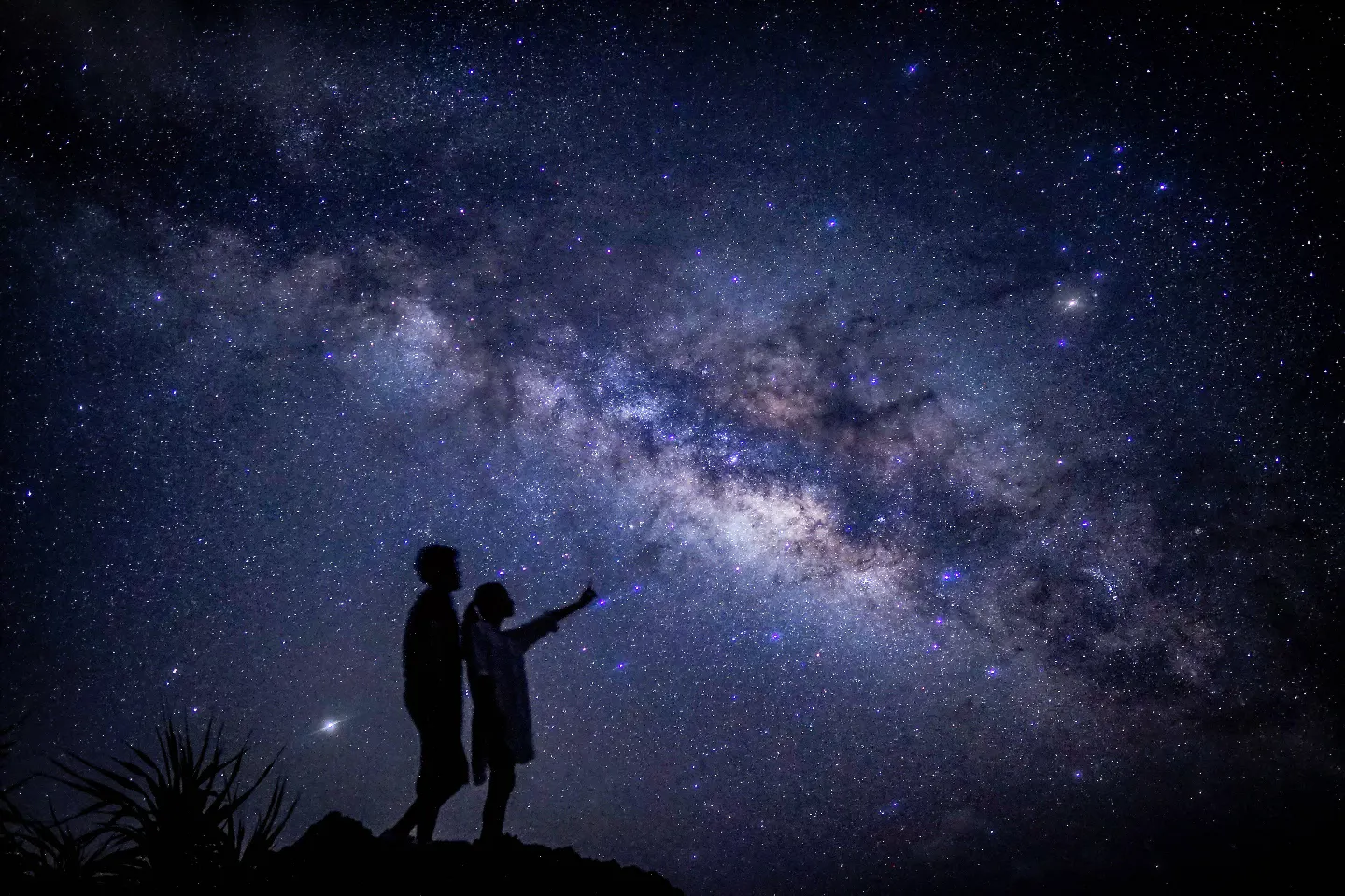 宮古島】【一組貸切】見上げた瞬間、息をのむ星空ナイトフォトツアー 
