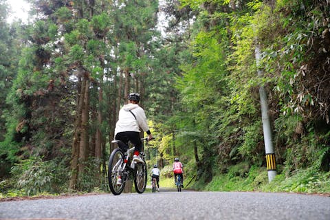 広島 宮島 おすすめガイドツアー 比較 予約 アソビュー