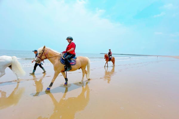 海馬 三重・津市・乗馬体験】乗馬経験15鞍〜OK！海を眺めながら乗馬をしてみ