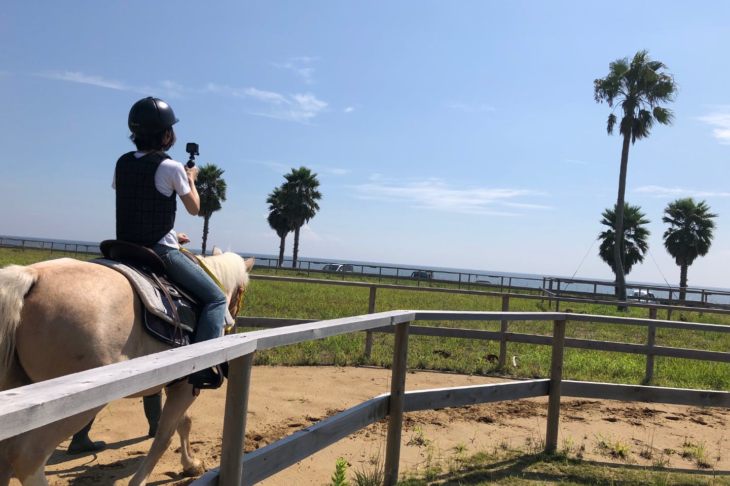 三重 津市 乗馬体験 小学生 Ok 海やヤシの木を眺めながら乗馬体験出来るヤシの木ライドプラン アソビュー