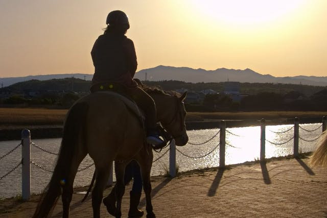 【三重・津市・乗馬体験】マリーナの綺麗な夕暮れライド＆厩舎見学ツアー【体重制限65kg以下】