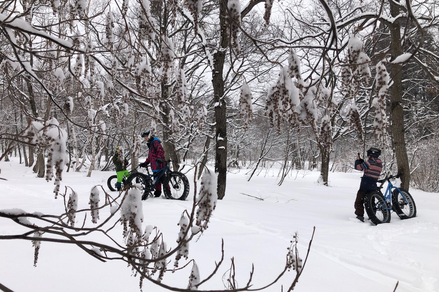 【長野・小谷・サイクリング】新しい冬スポーツに挑戦しよう！林間スノーライドツアー