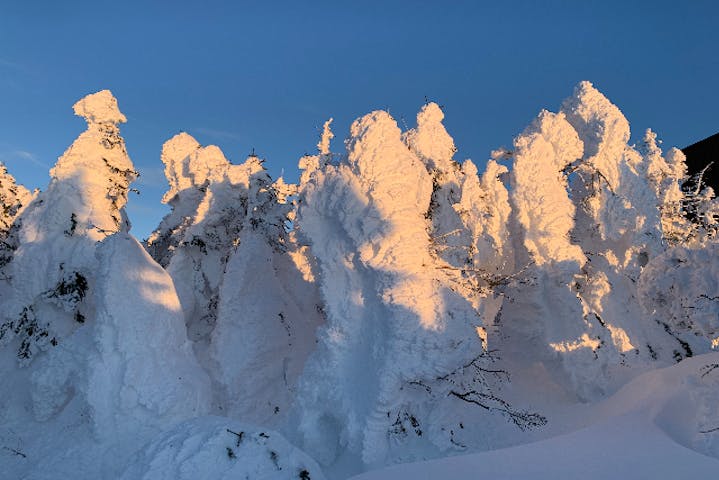 横手山・渋峠スキー場